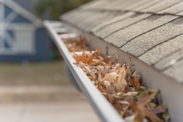 Leaf Barrier Installation in Saint Clair Shores